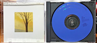 Edie Brickell : Picture Perfect Morning (CD, Album, Club)