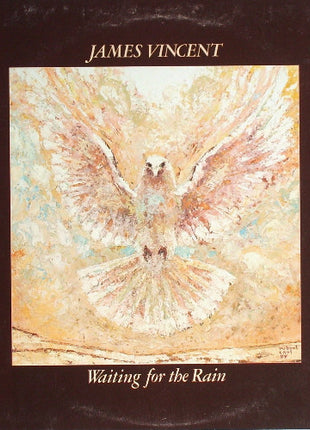 James Vincent : Waiting For The Rain (LP, Album)