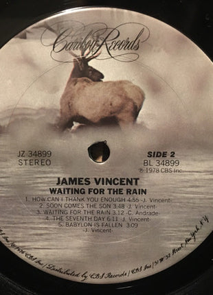 James Vincent : Waiting For The Rain (LP, Album)
