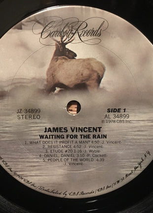 James Vincent : Waiting For The Rain (LP, Album)