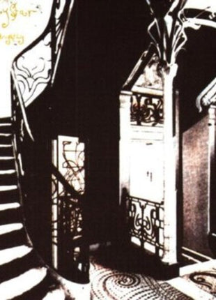 the album cover for Mazzy Star - She Hangs Brightly