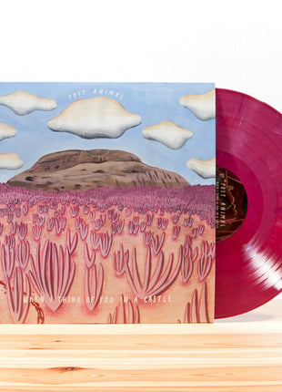 Post Animal - When I Think Of You In A Castle ( (Vinyl) (New (N))