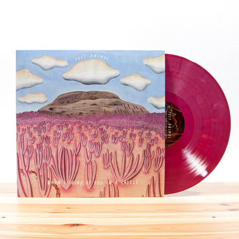 Post Animal - When I Think Of You In A Castle ( (Vinyl) (New (N))