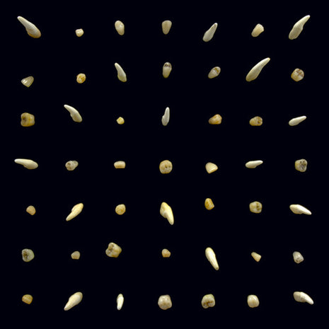 Clipping - Visions Of Bodies Being Burned (Vinyl) (New (N))