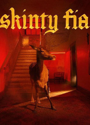 the album cover for Fontaines D.C. - Skinty Fia