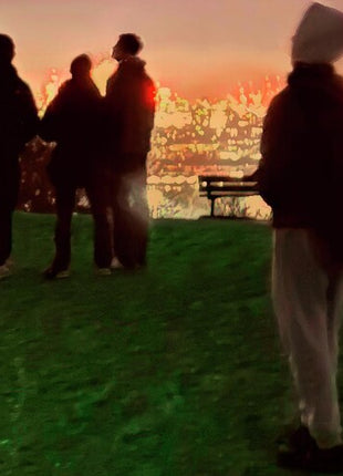 Fred Again - Secret Life (Vinyl) (New (N))