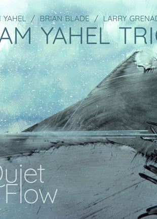 the album cover for Sam Yahel - Quiet Flow