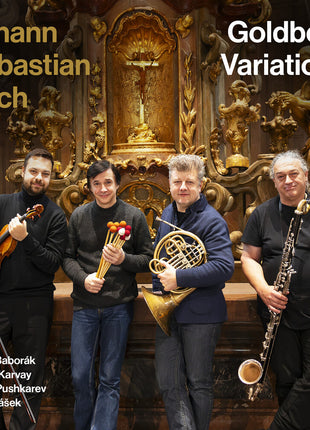 the album cover for Baborak, Radek - Johann Sebastian Bach: Goldberg Variations