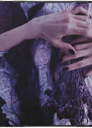 the album cover for Saddest Landscape - Alone With Heaven