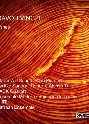 the album cover for Vincze, Davor - Ashes