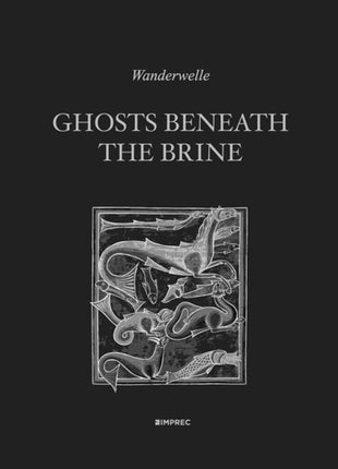 the album cover for Wanderwelle - Ghosts Beneath the Brine