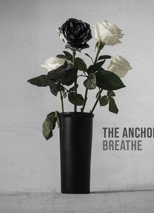the album cover for Anchor - The Anchor