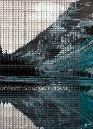 the album cover for Downpilot - Strange Horses