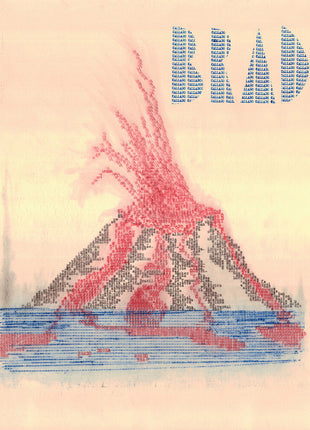 the album cover for Animal Invisivel - Brado