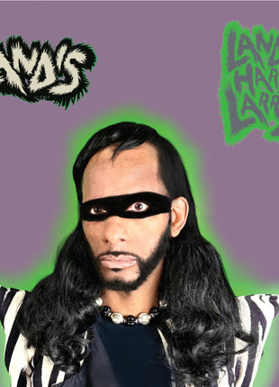 the album cover for Landis Larry Harry - Landis