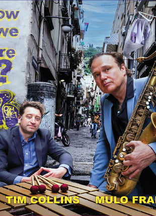 the album cover for Mulo Francel & Tim Collins - How Did We Get Here?