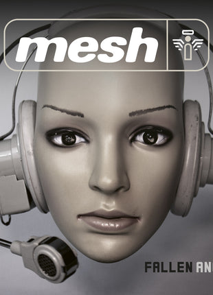 the album cover for Mesh - Fallen Angel