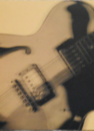 Lucky Peterson : Lifetime (CD, Album)