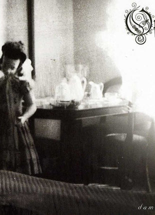 the album cover for Opeth - Damnation