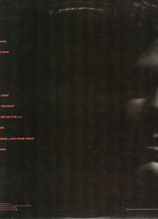 Lindsey Buckingham : Law And Order (LP, Album, Club, Ter)