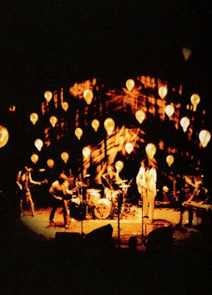 Ryan Adams & The Cardinals : Jacksonville City Nights (CD, Album)