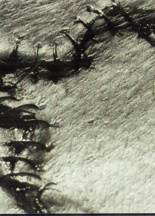 Ministry : Filth Pig (CD, Album, SRC)