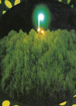 Ryan Adams : Demolition (CD, Album)