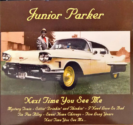 Little Junior Parker : Next Time You See Me (CD, Comp)