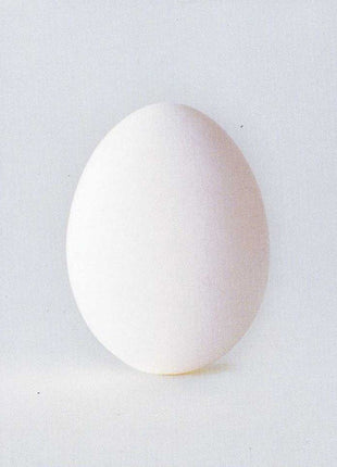 Wilco : A Ghost Is Born (CD, Album, Enh, Cin)
