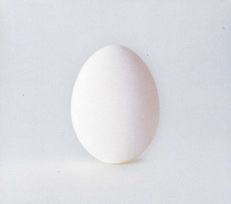 Wilco : A Ghost Is Born (CD, Album, Enh, Cin)