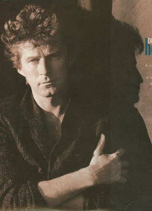 Don Henley : Building The Perfect Beast (LP, Album, Spe)