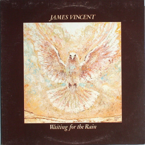 James Vincent : Waiting For The Rain (LP, Album)