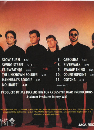 Spyro Gyra : Point Of View (CD, Album)