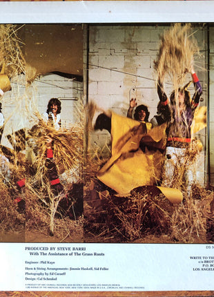 The Grass Roots : More Golden Grass (LP, Comp)