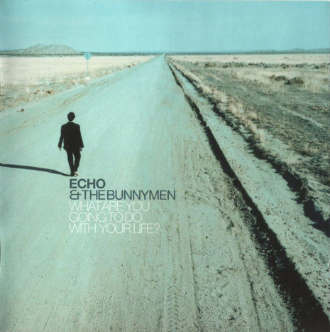 Echo & The Bunnymen : What Are You Going To Do With Your Life? (CD, Album)