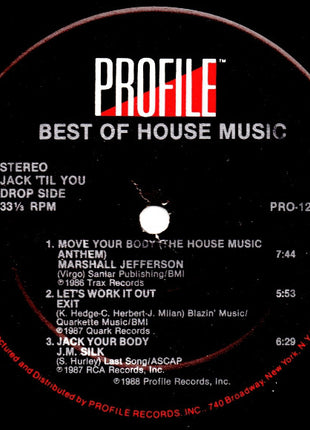 Various : Best Of House Music (2xLP, Comp)