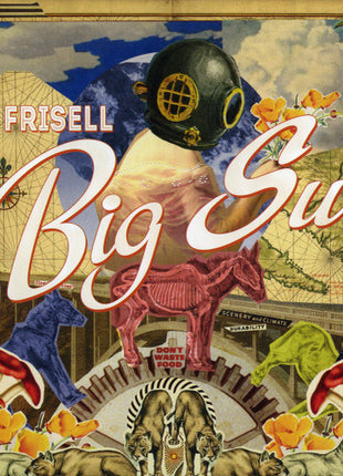 Bill Frisell : Big Sur (CD, Album, Dig)