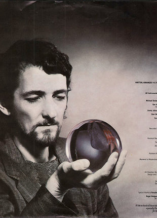 Roger Hodgson : In The Eye Of The Storm (LP, Album, Ind)