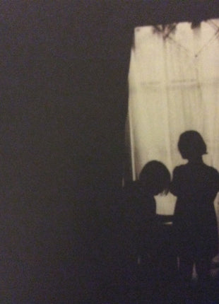 Patti Smith : Gone Again (CD, Album)