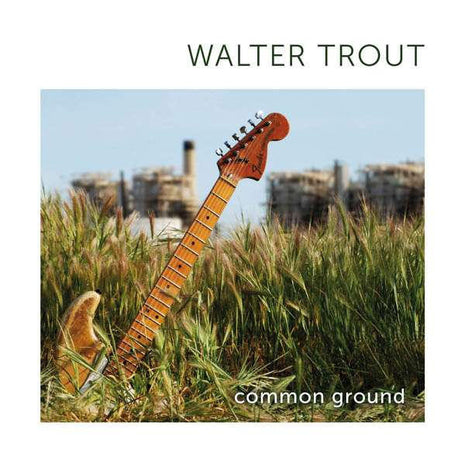 Walter Trout : Common Ground (CD, Album)
