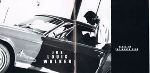 Joe Louis Walker : Blues Of The Month Club (CD, Album)