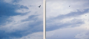 Missy Higgins : Steer EP (CD, EP)