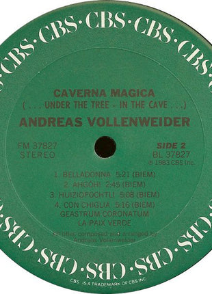 Andreas Vollenweider : Caverna Magica (...Under The Tree - In The Cave...) (LP, Album, Car)