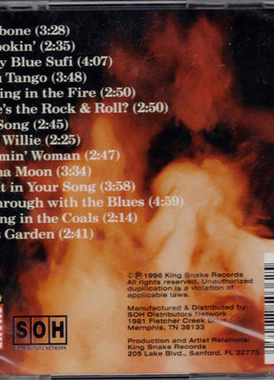 Bill Wharton And The Ingredients (2) : Standing In The Fire (CD, Album)
