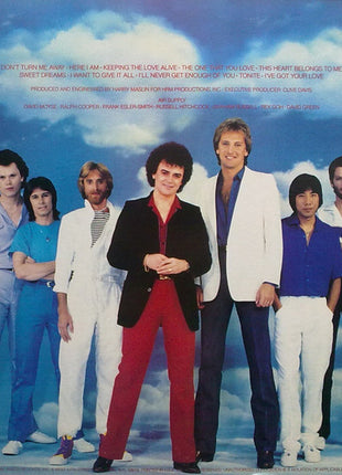 Air Supply : The One That You Love (LP, Album)