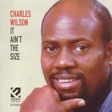 Charles Wilson : It Ain't The Size (CD, Album)