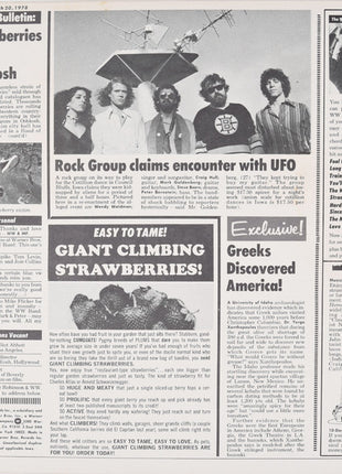 Wendy Waldman : Strange Company (LP, Album, Los)