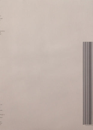 Black Midi : Schlagenheim (LP, Album, 180)