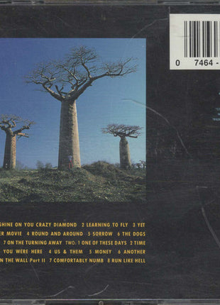 Pink Floyd : Delicate Sound Of Thunder (2xCD, Album)