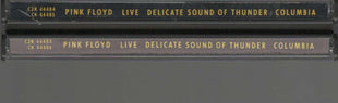 Pink Floyd : Delicate Sound Of Thunder (2xCD, Album)